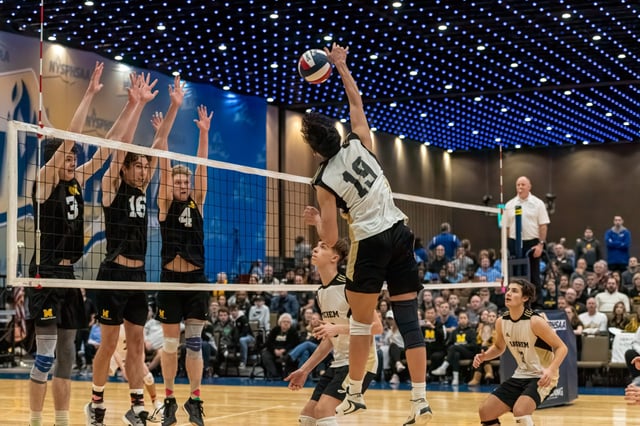 VOLLEYBALL-1-4 Large.jpeg