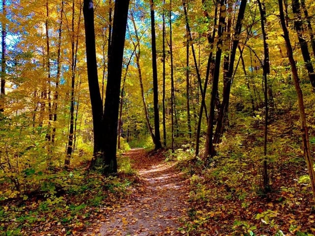 member_info_417-woodsong_county_park_pic_4_ks_2020_1602525662