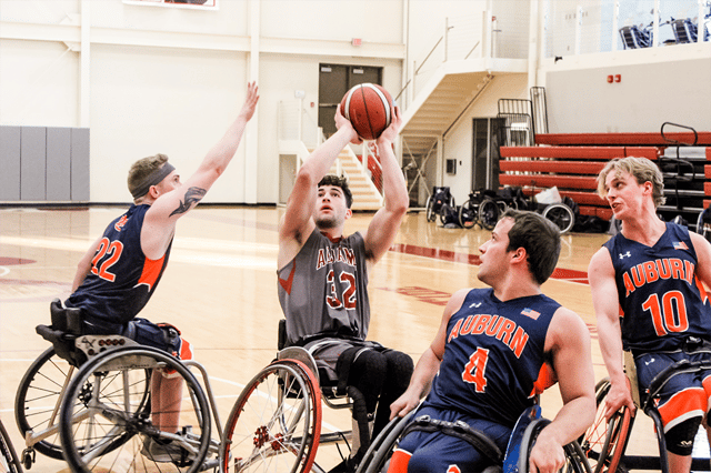 The University of Alabama 3