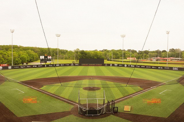 IMG_6770-smaller copy.jpg