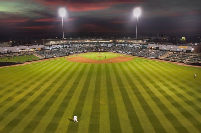 Railcats from OF.jpg