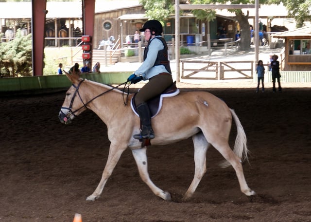 Garrod Farms and Stables 3