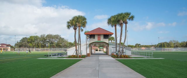 patch reef turf fields