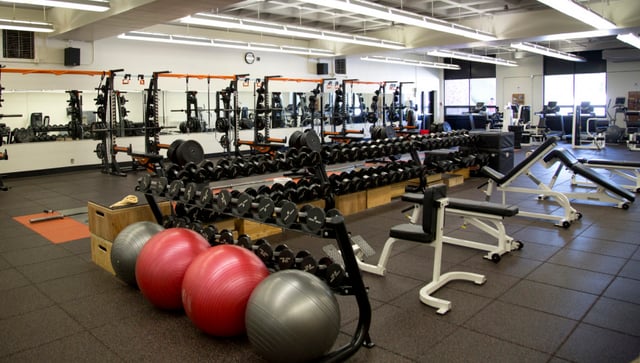 Lewis & Clark College 5