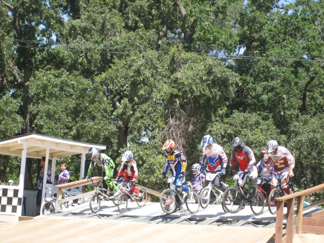 oak 4 (1)