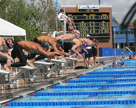 Anne wilder aquatic complex at irsc