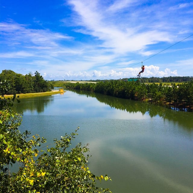 Go Ape Treetop Adventure Course6
