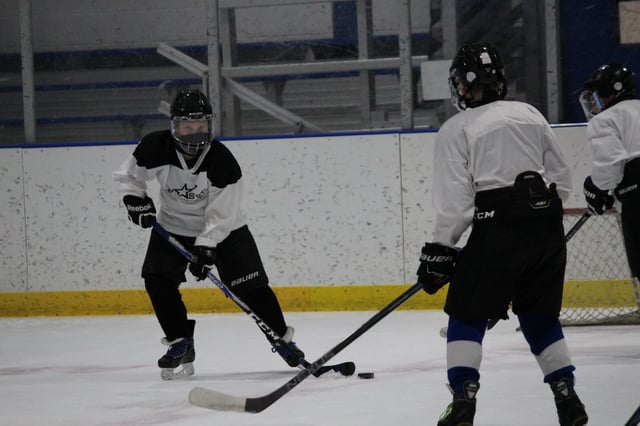 Baierl Ice Complex9