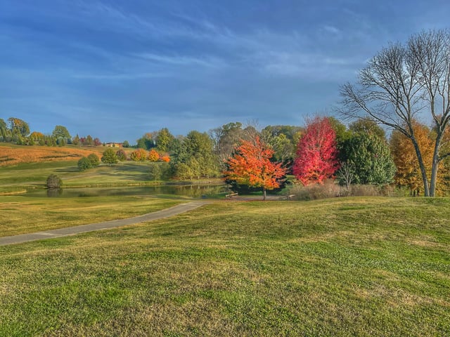 Andrew Johnson Golf Club 2