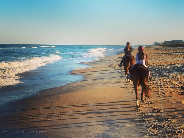 Equestrian Adventures of Florida3