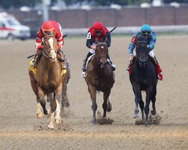 189731446_10161076854363345_8969183038937411120_n