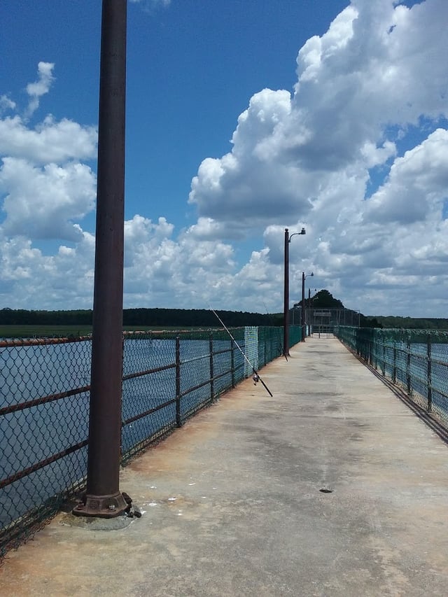 Wimbee Boat Landing and Fishing Pier 5
