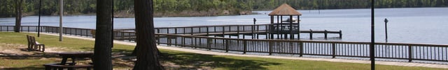 AnyConv.com__Branchwood 3