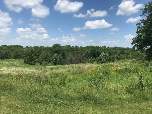 Pickard Park - Trail