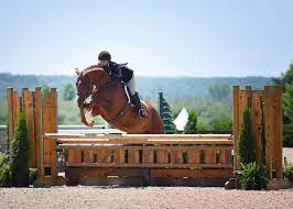Kismet Farm-American Saddlebred Horse Farm Tour 3