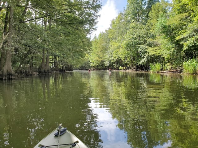 Richard Fleming Park-Cross Lake5