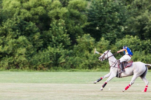 day-at-summerhill-polo-58