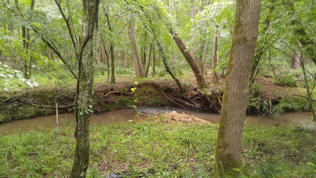 Little Cedar Creek Campground7