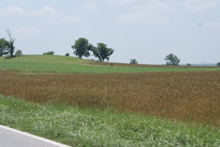 cage stables field