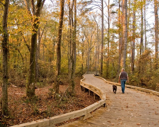 Big Creek Greenway Trailhead 5