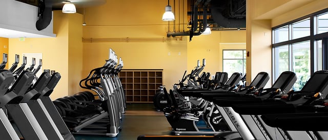 mccarthy gymnasium 4