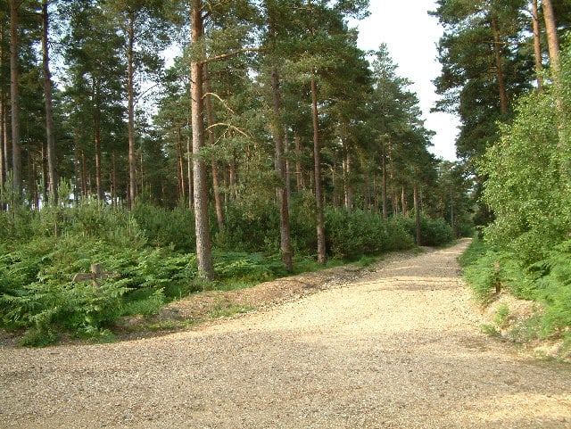 Ringwood 2