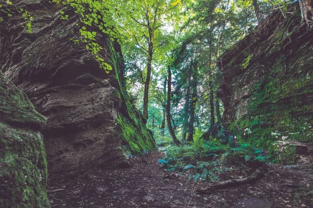 6_2016_Back of Mayflower.jpg