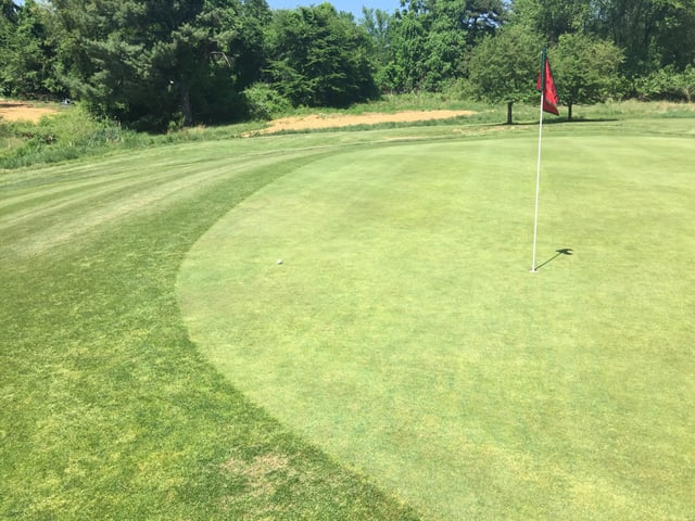 uploaded-photo52583850