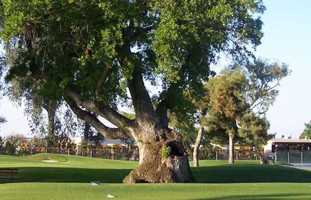 visalia country club 2