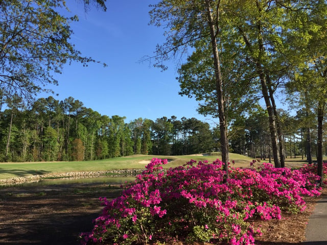 River Oaks Golf Club4