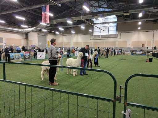 Clark County Event Center at the Fairgrounds 4