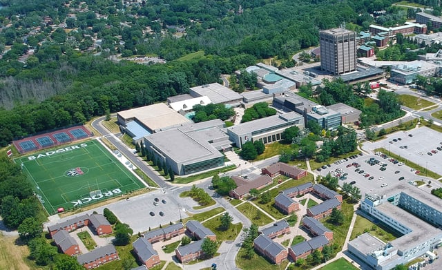 turf-1.jpg