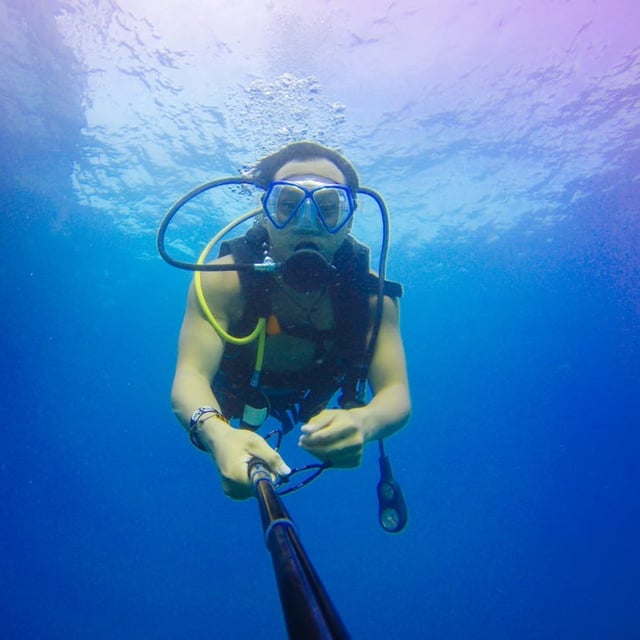 Aquatic Adventures of MI