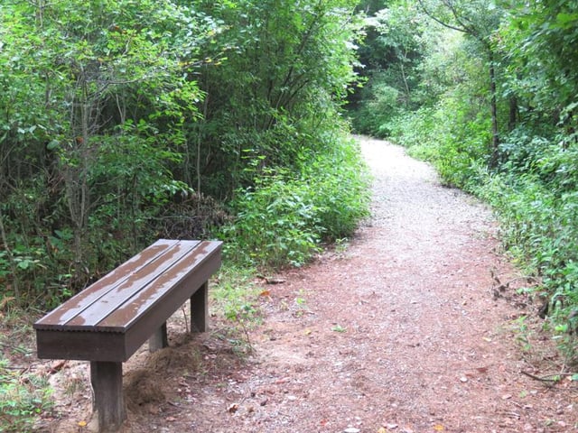 Greig Park Nature Trail 2