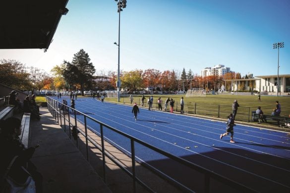 minoru park stadium.jpg