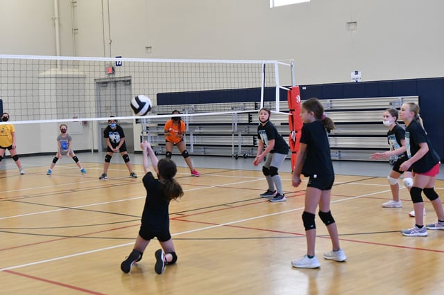 romeoville volleyball.jpeg