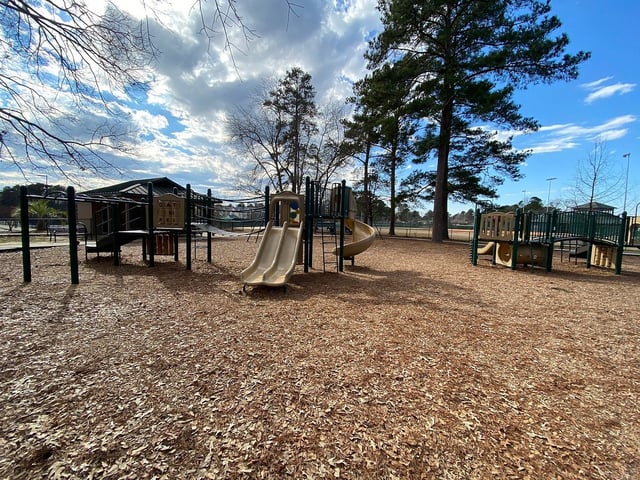 Palmetto Park7