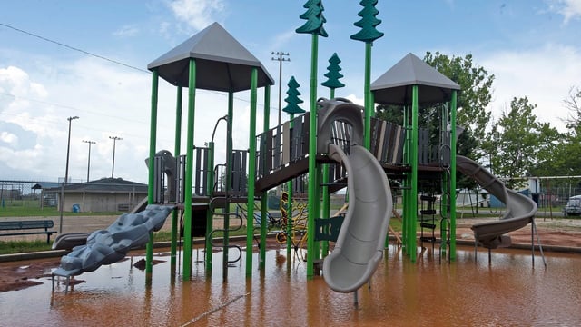 Bray Hendricks Park 1