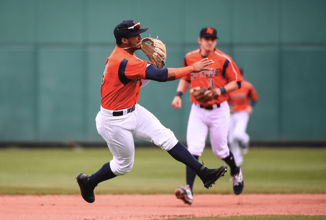Bowling Green Hot Rods Baseball 5