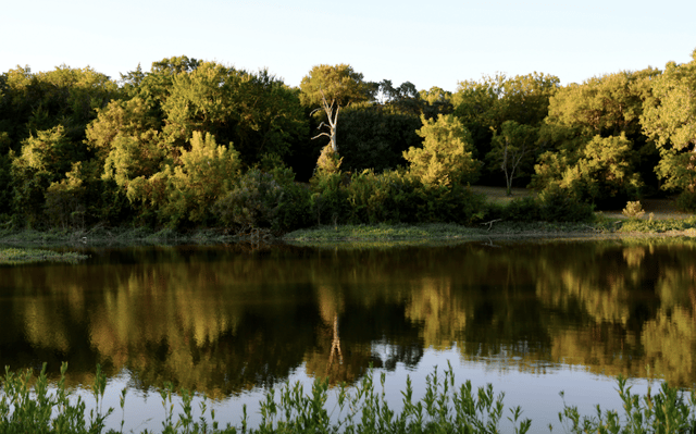 Screen Shot 2021-10-05 at 2.51.14 PM