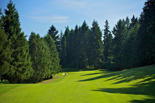 Bellevue Golf Course  pgc.jpeg