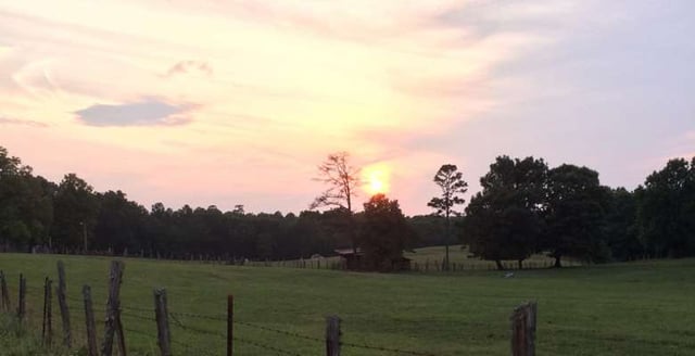 open field