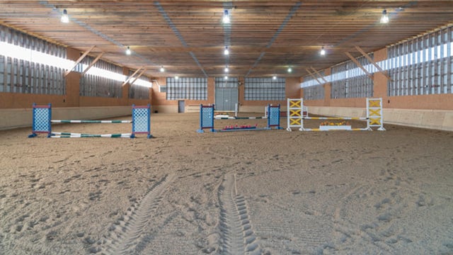 Nora Harris Equestrian