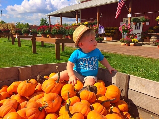 Wickham Farms