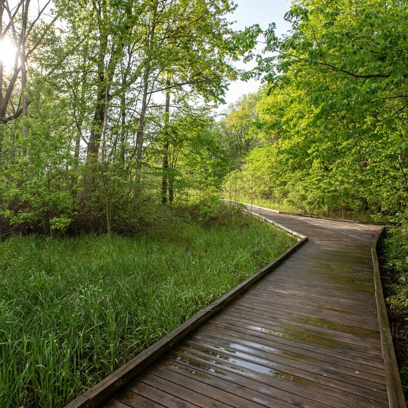 Draper-Houston Meadows Preserve