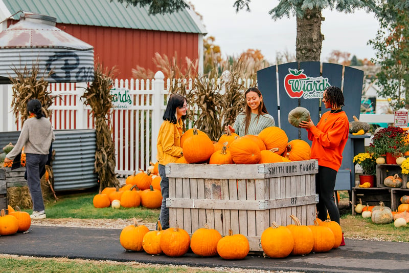 Wiard's Orchards and Country Fair