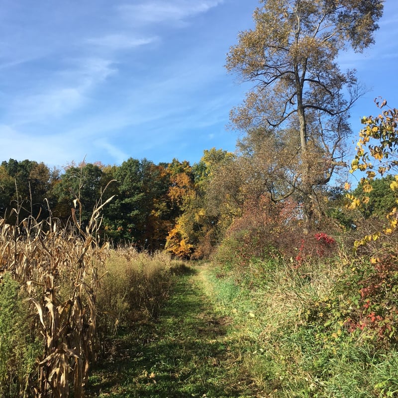 Herman Koenn Preserve