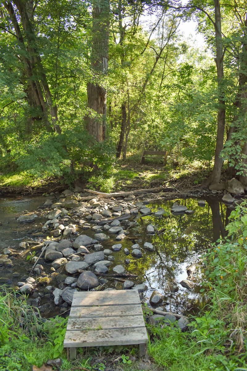 Sloan Preserve