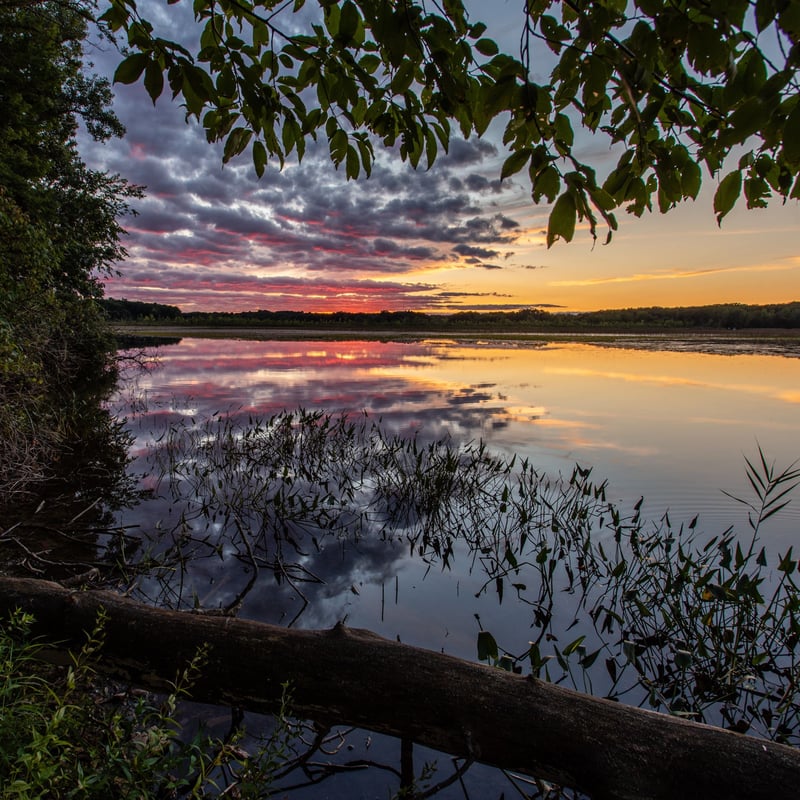 West Lake Preserve