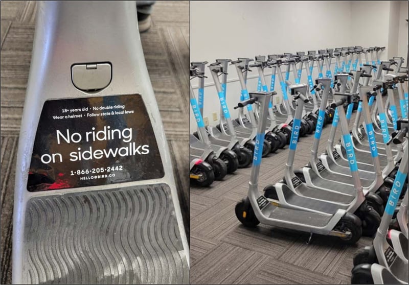 Bird Scooter Rentals